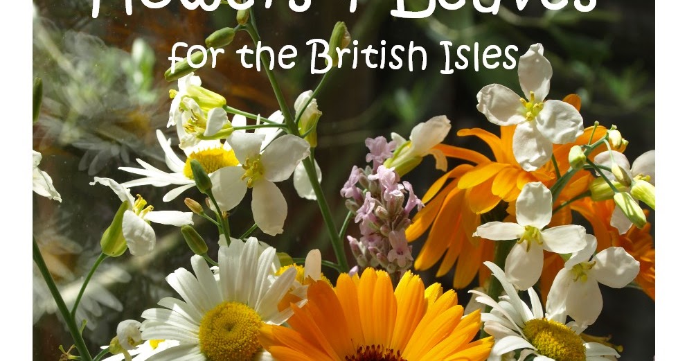 Raw Edible Flowers and Leaves for the British Isles